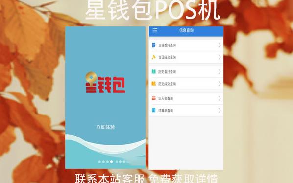 星钱包pos机安全吗？和银钱包POS机比哪个好