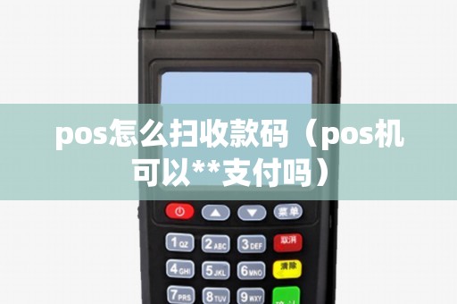 pos怎么扫收款码（pos机可以**支付吗）